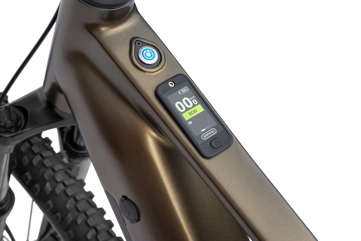 Rower elektryczny Ecobike SX 300 Green - obrazek 4