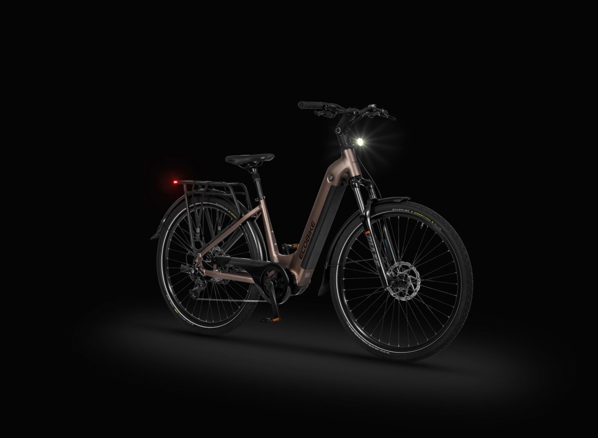 Rower elektryczny Ecobike LX 300 Green - obrazek 12