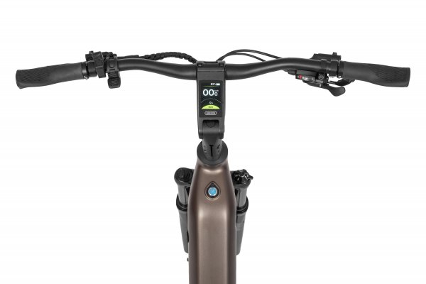 Rower elektryczny Ecobike LX 300 Green - obrazek 5